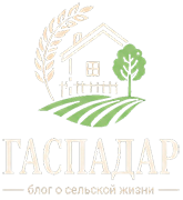 Блог о сельской жизни